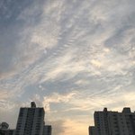 <b>현타</b> 오는데 어떡하냐 ㅜㅜ