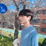 옵치 <b>학살</b> 아는 사람 없냐 잘생기심