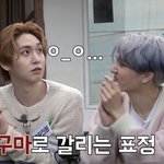 [펜타곤] 케이밥스퇄 감동