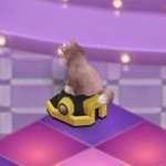 얘들아 나 <b>영포</b>자인데 오늘 영어시험