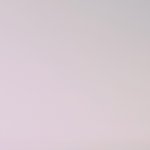 유사먹자<b>구여</b>