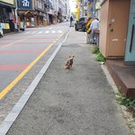 [111] 길갱<b>쥐</b><b>쓰</b> ㅜㅜ