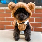 [드루와] 우리 <b>집</b> 갱<b>얼</b>쥐 자랑해야즤 2탄
