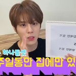 집<b>돌</b>이 아이돌에게 야외취침을 시키면 일어나는 일