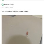 [댓글부탁해] 트페미들 쉴드 머냐