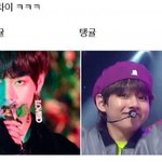 [방탄소년단] 싱<b>귤</b>이니?
