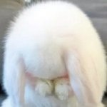 [모두드루와] 꿈에 구미호처럼
