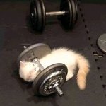 [<b>SF9</b>] 품성이