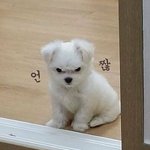 근데 알계라고 바로 믿거하기도 좀 그런게