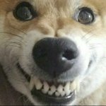 헐 <b>예리</b> 인스타 올라왔네
