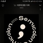 [세븐틴] 실차 딱 지금순위만 유지되면 <b>바랄</b>것도 없겠다..