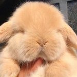 <b>쌍테</b> 첨 써봤는데 ㄱㅊ음?