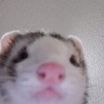 안그럴거같은 사람이 논란뜨니까 신기하다