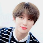 [NCT즌] 졍우 보고<b>시파</b>
