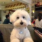 [NCT즌] 대한민국은 지금 념념이 <b>열풍</b>