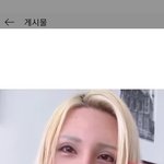 [19] 너네 일본호스트 로란도 알아????
