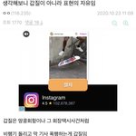 아이린 쉴<b>드러</b>들 이거 개노답파티네