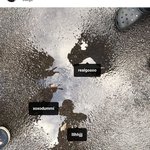 아이린 영화 측에서 폭로자 찾고 있대