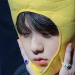 <b>초식동물</b> 재질의 남돌