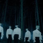 요새 이게 유행임?