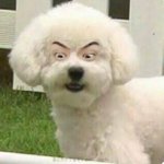 <b>세훈</b> 이거 뭐<b>임</b>