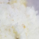 [댓글부탁해] <b>개미</b>같은거로 보이나요?