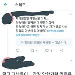 트위터에서 아이린 일로 방탄 머리채 잡는거 앎?