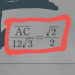 중3 수학 이거 좀 알려주라 ㅜㅜ