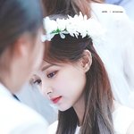 ㅅㅂ <b>이사진</b> 돌은거 같음