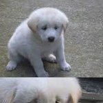 <b>요기</b>에 내가 못오는이유