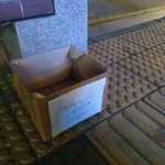 [꼭조언부탁] <b>참새</b> 다리다쳤어 도와줘
