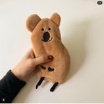 [댓글부탁해] <b>필통</b> 뭐살까 ㅜㅜㅜ ㅈㅂ 골라조