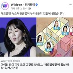 [개깊은빡침] 아이린 사건 <b>위키</b>트리 반응