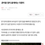 [NCT] 멤버들에게 <b>훈계</b>하는 더쥔이