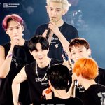 엑소 내 행복<b>버튼</b>짤