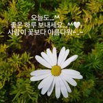 익<b>친들</b> 내가 삼행시 지어줄게!! 댓 줘!