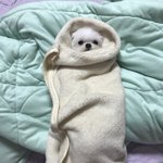 [19] 아니 진짜 나만 이러냐