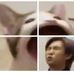 [방탄소년단] <b>이</b>겈ㅋㅋㅋㅋㅋㅋㅋ애들 귀여운<b>짓</b> 할때