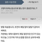 [방탈죄송] (<b>원</b><b>글</b>지킴이) 고양이 토하는걸 손으로 받는 친구..정상인가요...