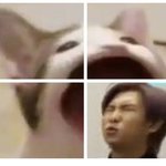 [방탄소년단] 김낮누 <b>서치</b> 잘하는거 맞네