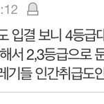 결시친 간호사글 역겹다