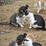 저기요 <b>지나</b>갑시다