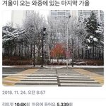 [댓글부탁해] <b>학종</b> 넣어도 될까?