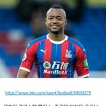 [댓글부탁해] 독수리 <b>부리</b>는 왜 노랄까...