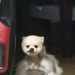 [19] <b>인문</b>계로 전학갈까 고민중