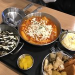 고양이 잘 아는 사람있어??
