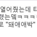 조이 과거 ㅁㅊ 이거 진짜야?