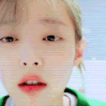 [추반] 너네는 블랙핑크하면