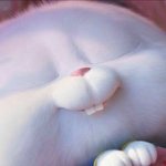 [드루와] 귀염<b>둥이</b>만 볼 수 있는 글입니다.