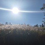 보면 <b>눈</b> 아픈 <b>사진</b>
